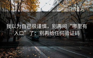 我以为自己很谨慎，别再问“哪里有入口”了：别再给任何验证码