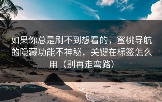 如果你总是刷不到想看的，蜜桃导航的隐藏功能不神秘，关键在标签怎么用（别再走弯路）