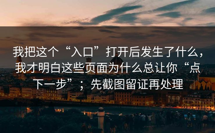 我把这个“入口”打开后发生了什么，我才明白这些页面为什么总让你“点下一步”；先截图留证再处理