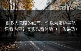 很多人忽略的细节：你以为蜜桃导航只看内容？其实先看体验（一条讲透）