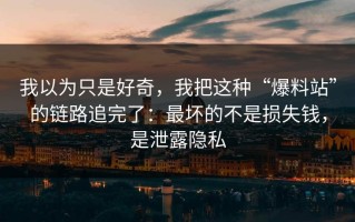 我以为只是好奇，我把这种“爆料站”的链路追完了：最坏的不是损失钱，是泄露隐私