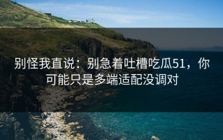 别怪我直说：别急着吐槽吃瓜51，你可能只是多端适配没调对