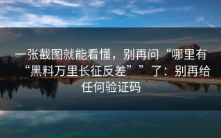 一张截图就能看懂，别再问“哪里有“黑料万里长征反差””了：别再给任何验证码