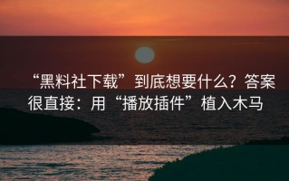 “黑料社下载”到底想要什么？答案很直接：用“播放插件”植入木马