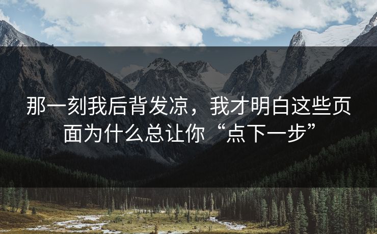 那一刻我后背发凉，我才明白这些页面为什么总让你“点下一步”