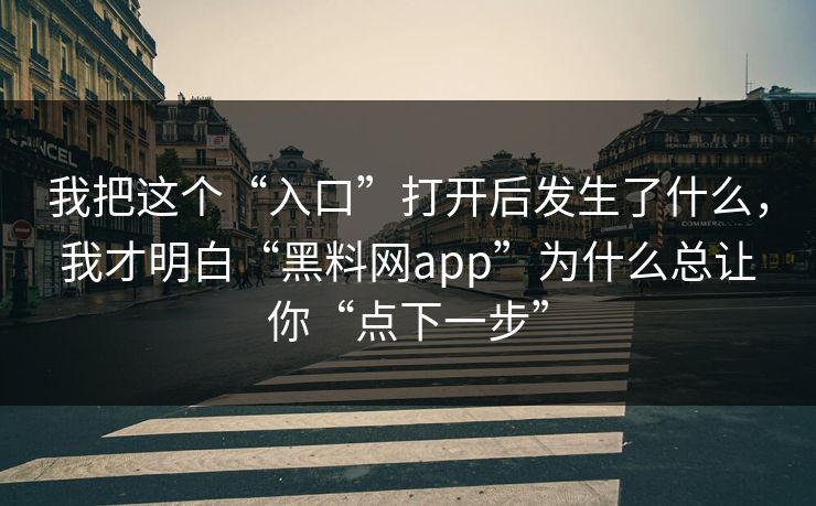 我把这个“入口”打开后发生了什么，我才明白“黑料网app”为什么总让你“点下一步”