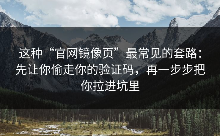 这种“官网镜像页”最常见的套路：先让你偷走你的验证码，再一步步把你拉进坑里